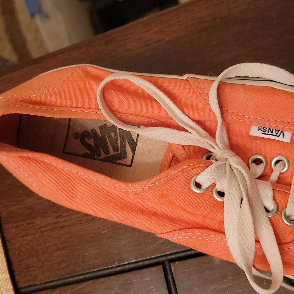 Salmon Vans View 3